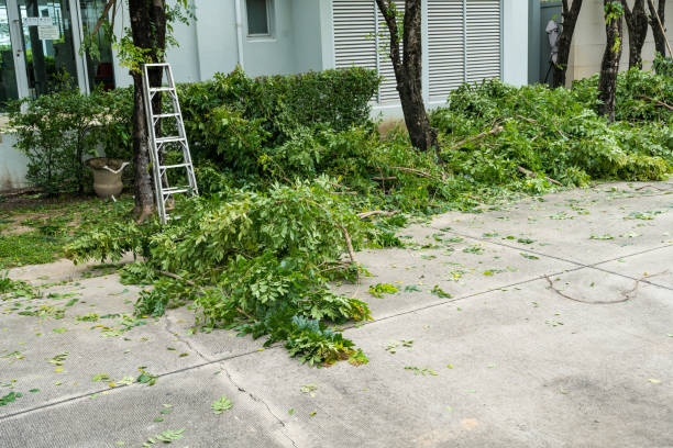 Best Seasonal Cleanup (Spring/Fall)  in Shafer, MN